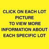 CLICK ON EACH LOT PICTURE