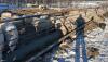 BRED EWE - 4