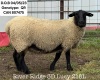 RIVER RIDGE 3D LUCY 218L