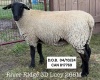 RIVER RIDGE 3D LUCY 266M