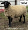 RIVER RIDGE JILL 223L