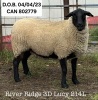RIVER RIDGE 3D LUCY 214L