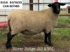 RIVER RIDGE JILL 236L