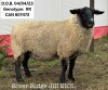 RIVER RIDGE JILL 210L