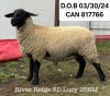 RIVER RIDGE 3D LUCY 255M