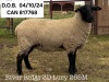 RIVER RIDGE 3D LUCY 265M