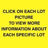 MORE PICTURE VIEWS, VIDEOS & DETAILS are available at www.beaverhillauctions.com