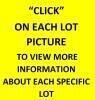 CLICK ON EACH LOT PICTURE