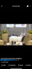 SUFFOLK RAM FOR REFERENCE - NOT SELLING